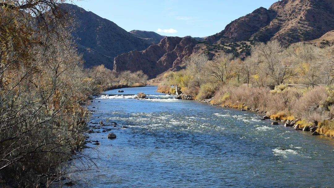 Our Water, Our Land